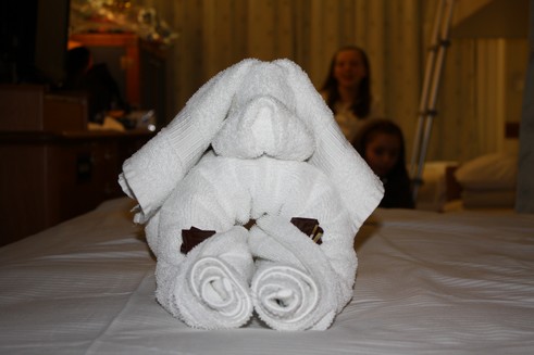 Amazing towel animals real-people-dont-Disney-Wonder-4